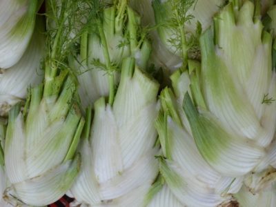 Fenchel-1