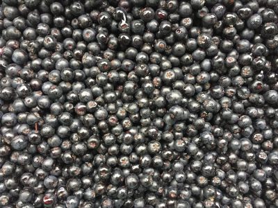 Aronia