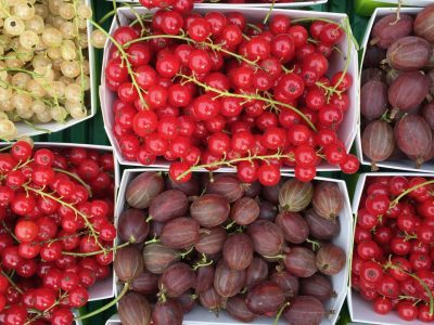 Beeren-2 Beeren-2